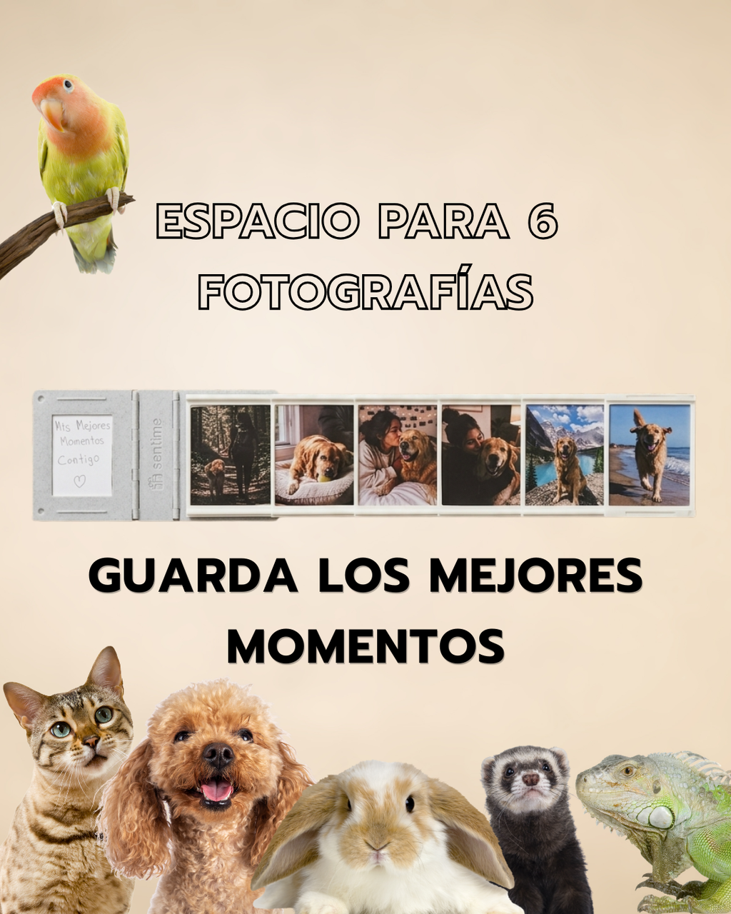 Mini Album Mascota