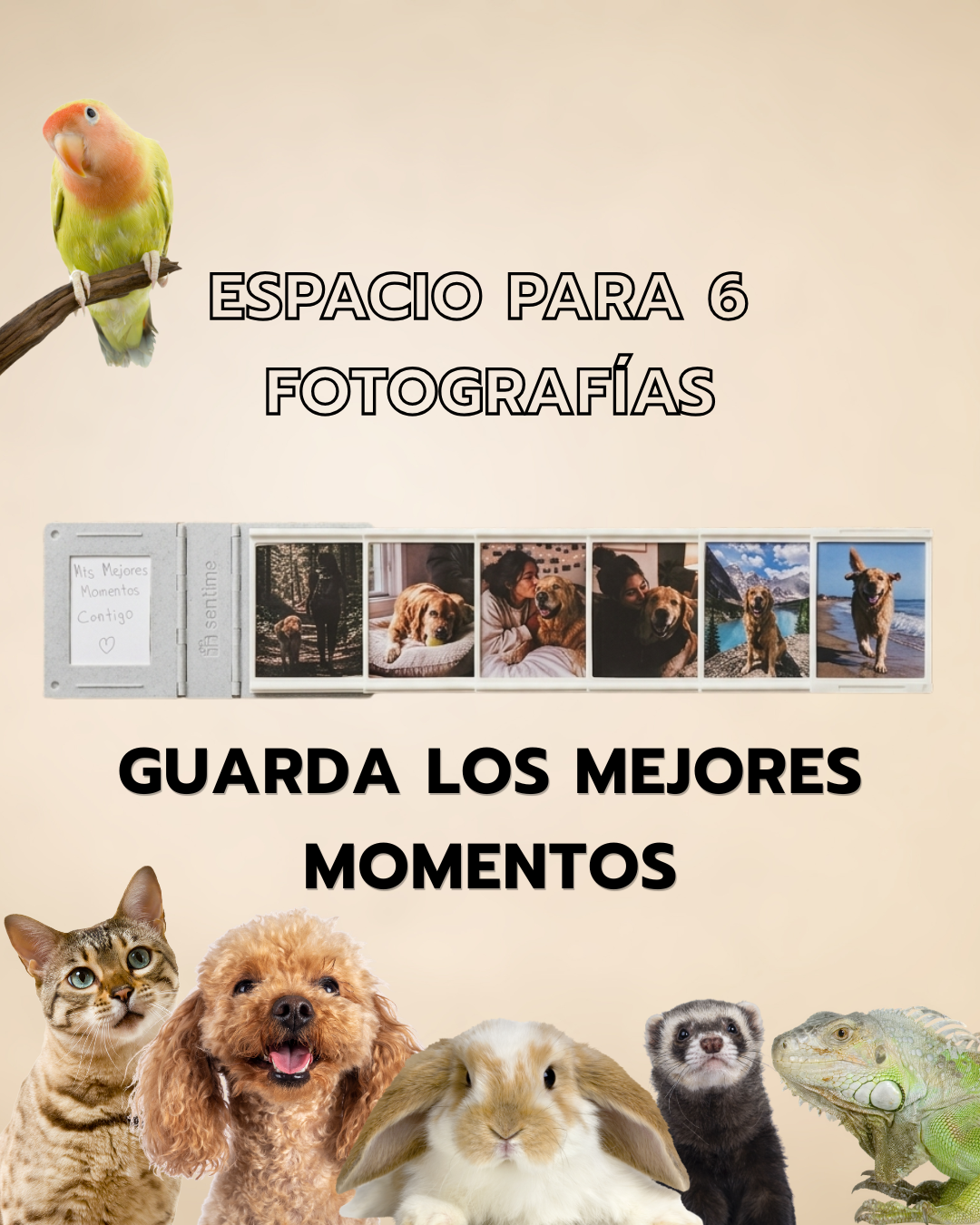 Mini Album Mascota