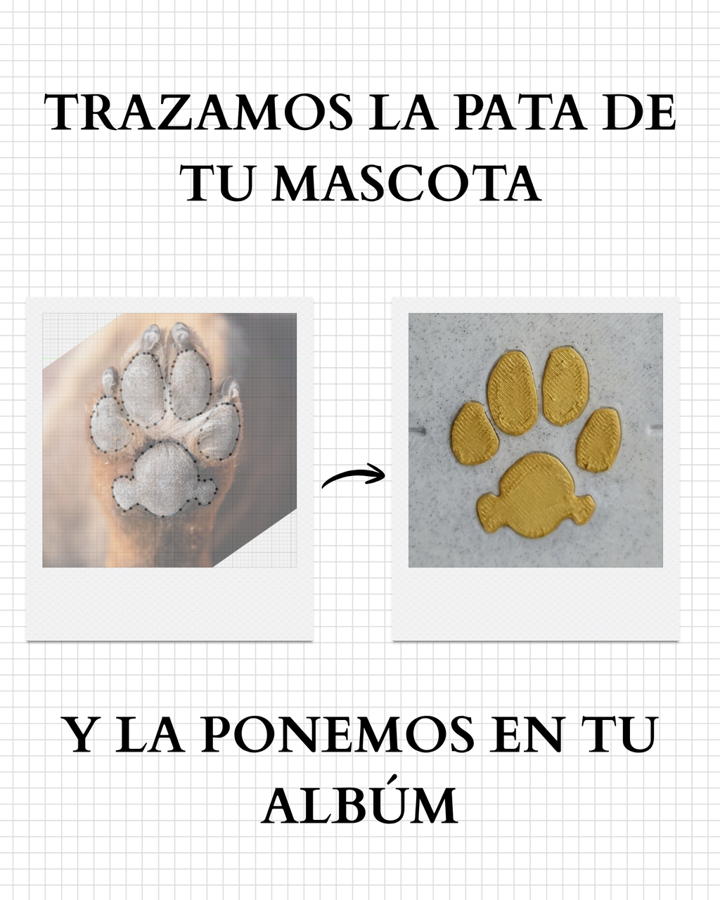 Mini Album Mascota