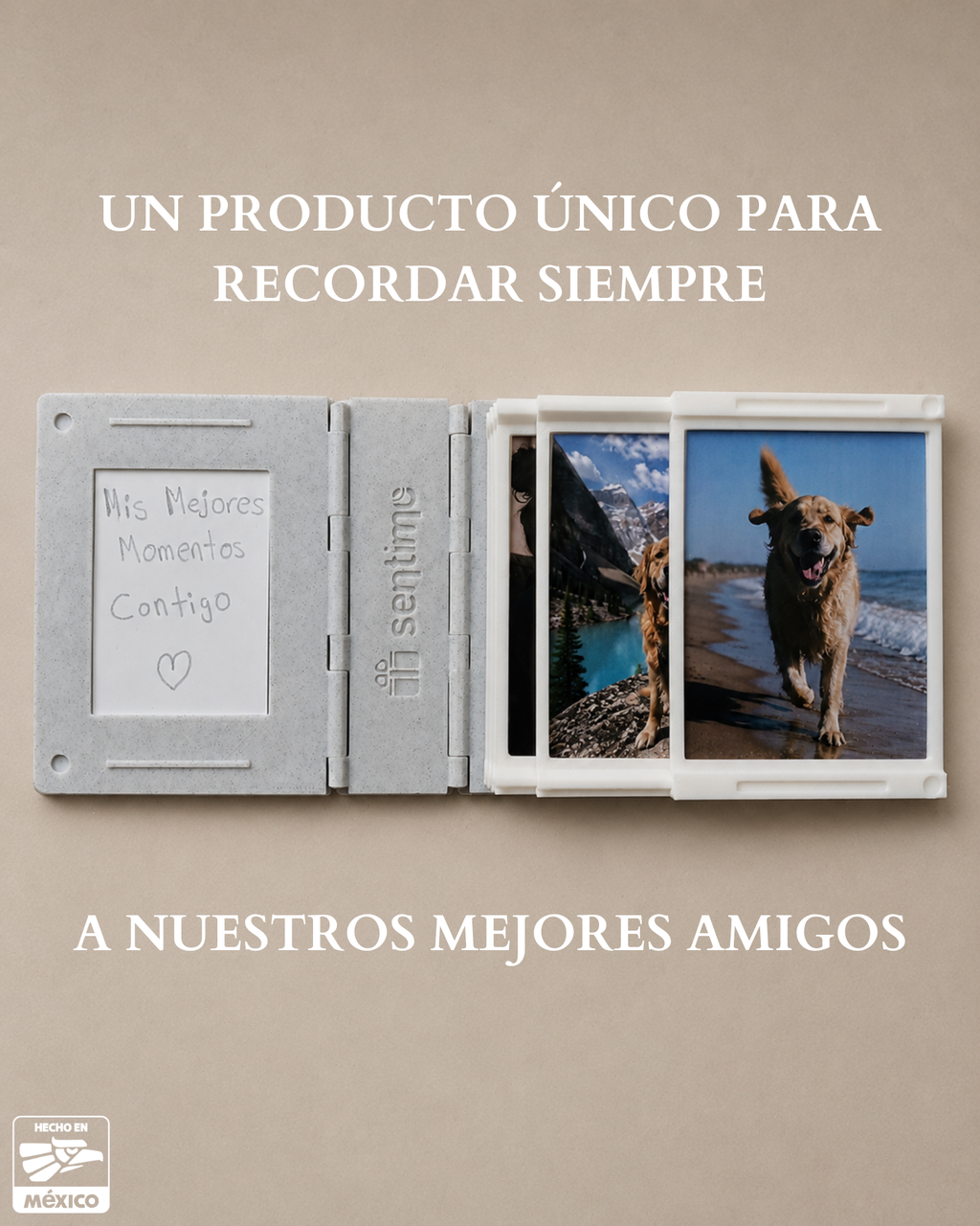 Mini Album Mascota