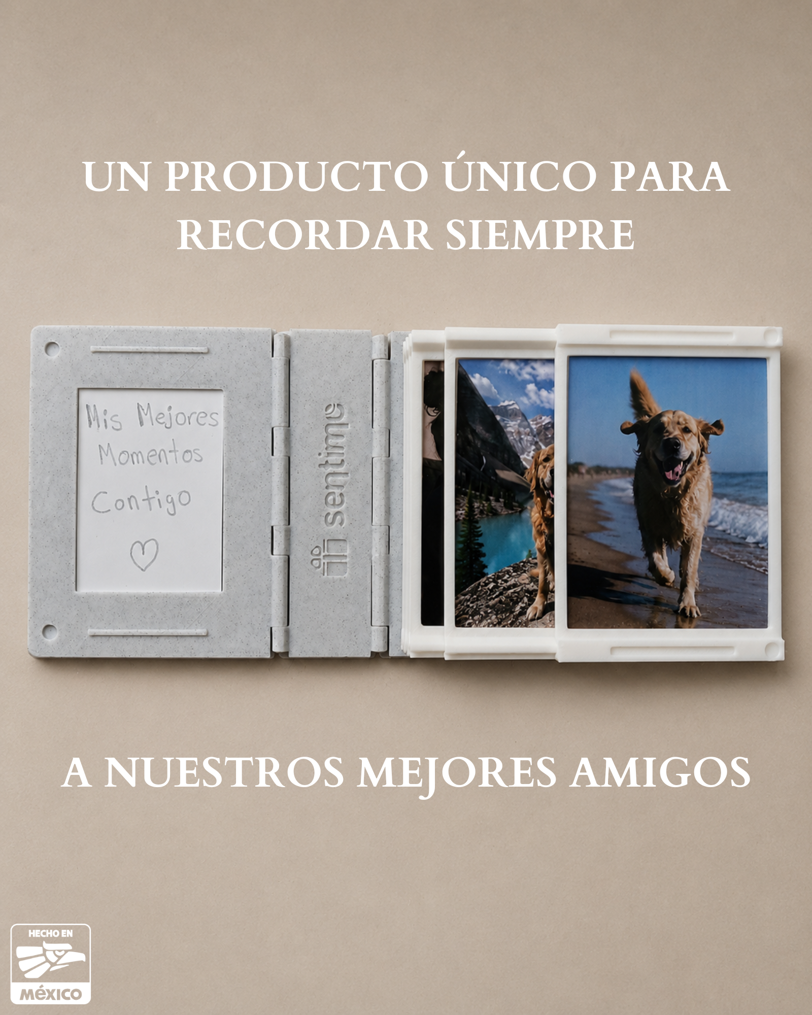 Mini Album Mascota